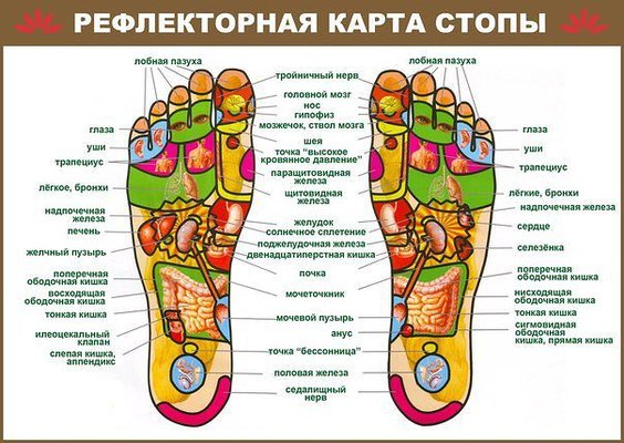 что такое кинезиология